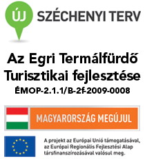 Termál fejlesztés